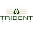 ims-trident